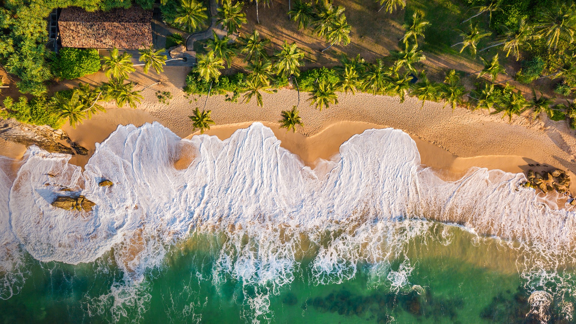 Golden tropical beach in Sri Lanka