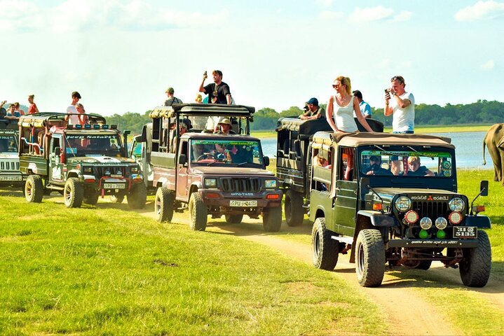 Safari jeeps ready for a Sri Lanka wildlife tour