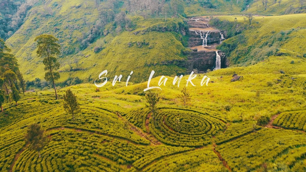 Sri Lanka tea plantations